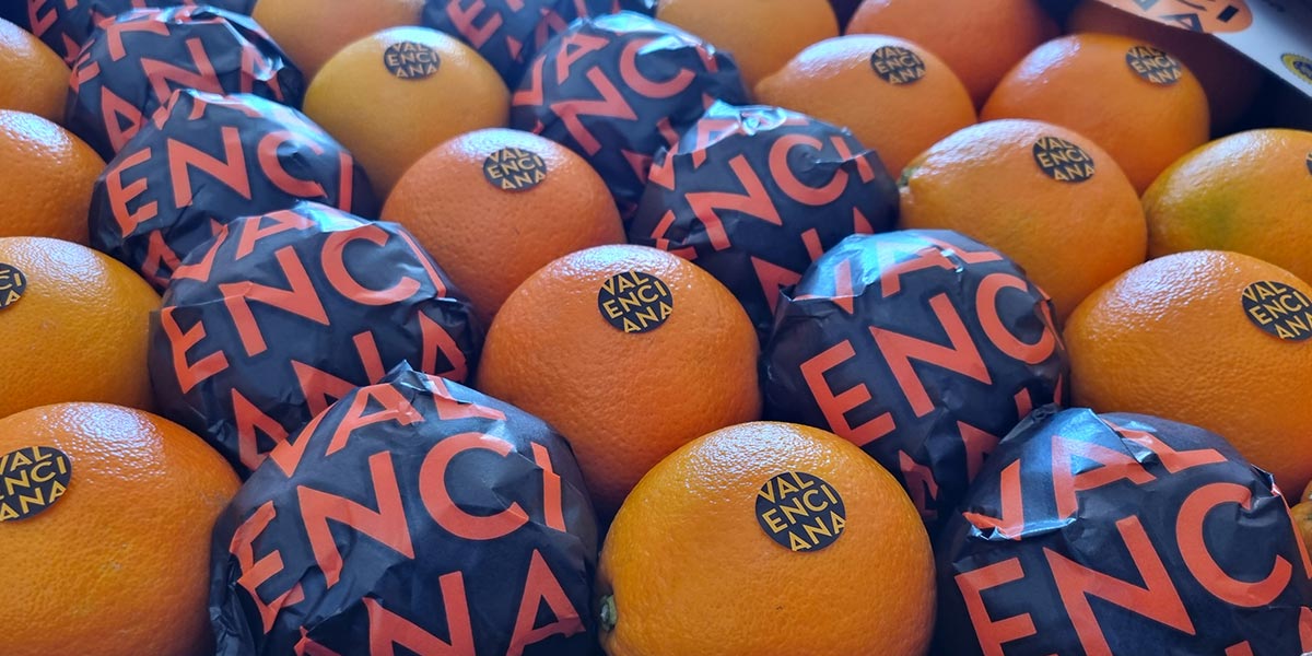 Buon inizio per la campagna degli agrumi di Valencia IGP